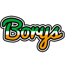 Borys ireland logo