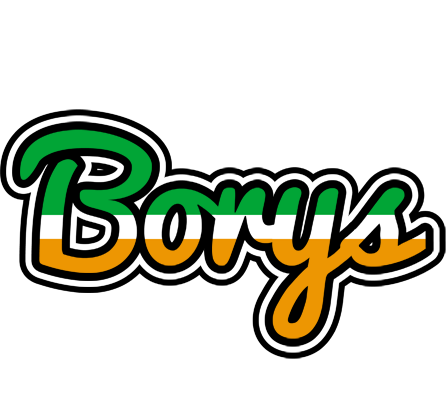 Borys ireland logo