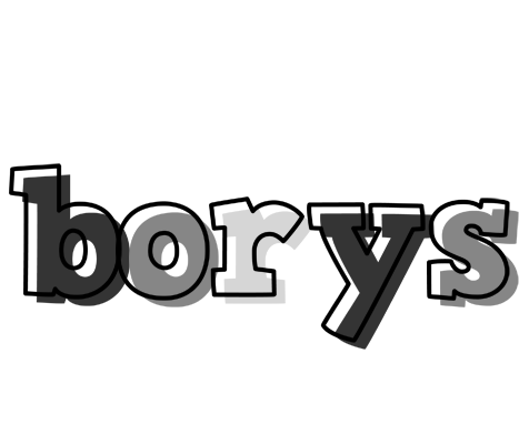 Borys night logo