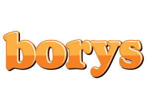 Borys orange logo