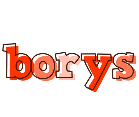 Borys paint logo