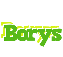 Borys picnic logo