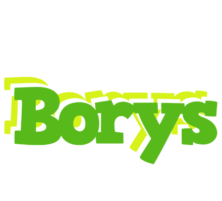 Borys picnic logo