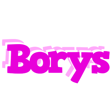 Borys rumba logo