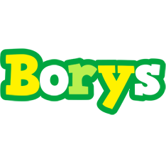 Borys soccer logo