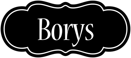 Borys welcome logo