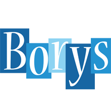 Borys winter logo