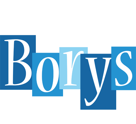 Borys winter logo