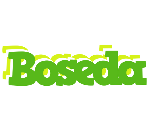 Boseda picnic logo