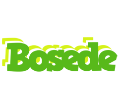 Bosede picnic logo