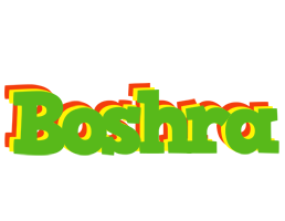 Boshra crocodile logo