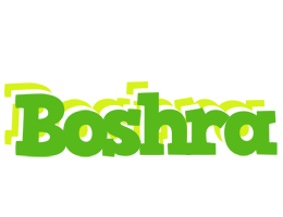 Boshra picnic logo