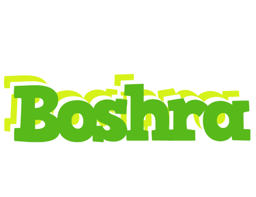 Boshra picnic logo