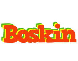 Boskin bbq logo