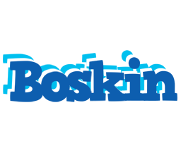 Boskin business logo