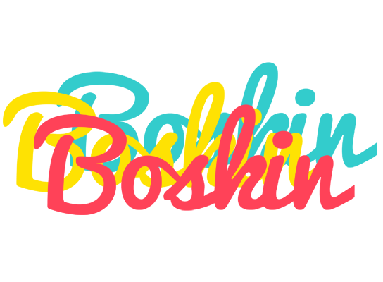 Boskin disco logo