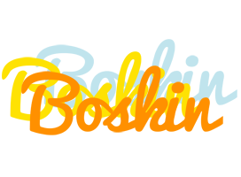 Boskin energy logo