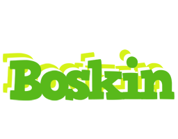 Boskin picnic logo