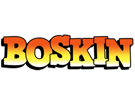 Boskin sunset logo