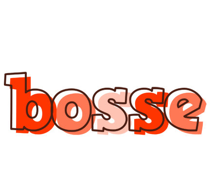 Bosse paint logo