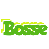 Bosse picnic logo