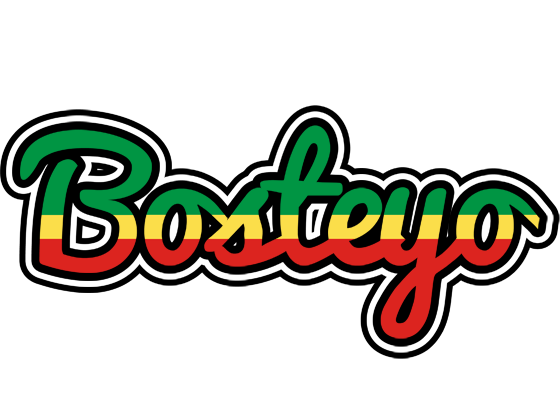 Bosteyo african logo