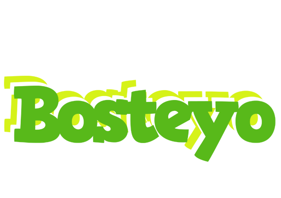 Bosteyo picnic logo