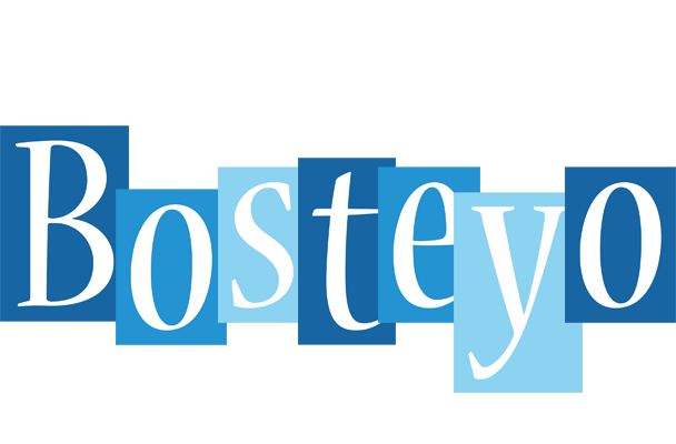 Bosteyo winter logo