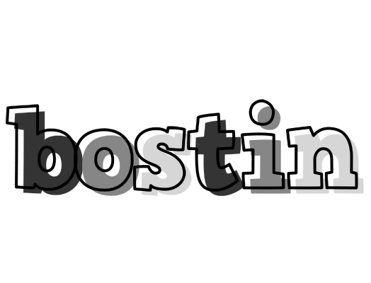 Bostin night logo