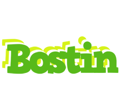 Bostin picnic logo