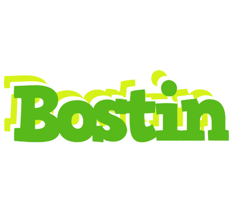 Bostin picnic logo
