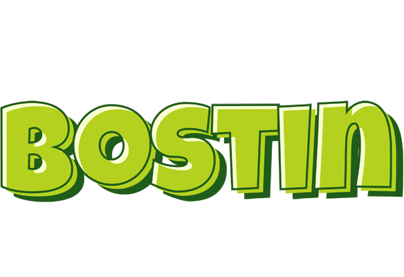 Bostin summer logo