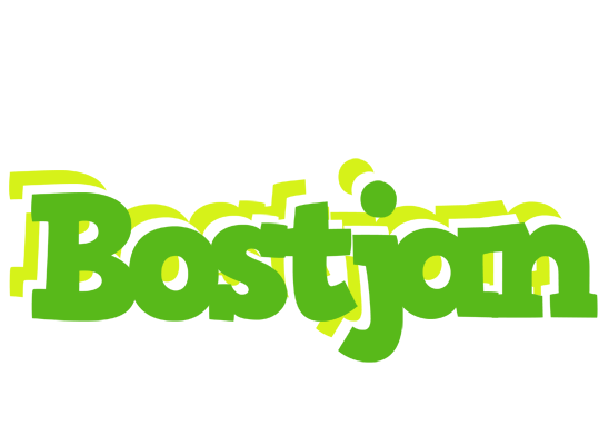 Bostjan picnic logo