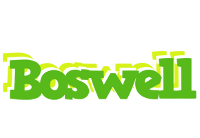 Boswell picnic logo