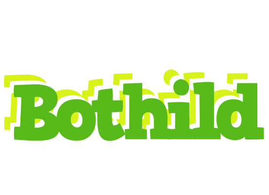 Bothild picnic logo