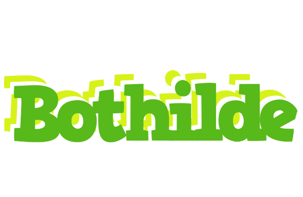Bothilde picnic logo