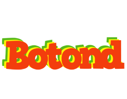 Botond bbq logo