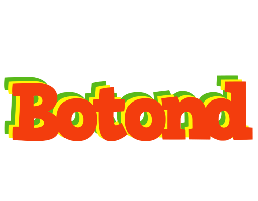 Botond bbq logo