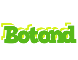 Botond picnic logo