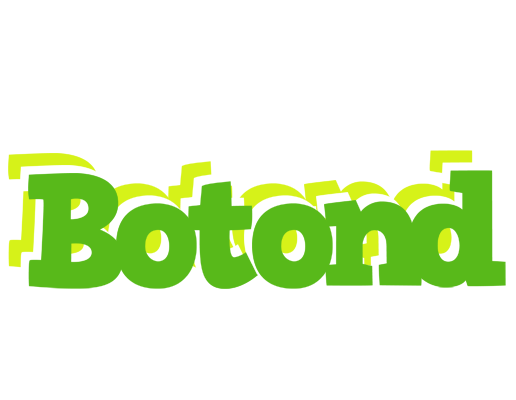 Botond picnic logo