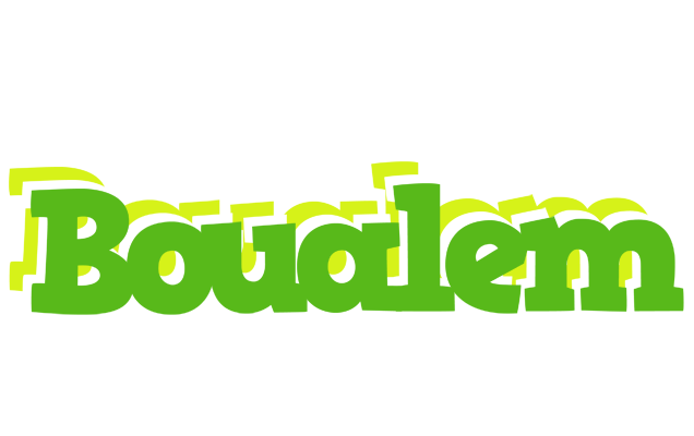 Boualem picnic logo