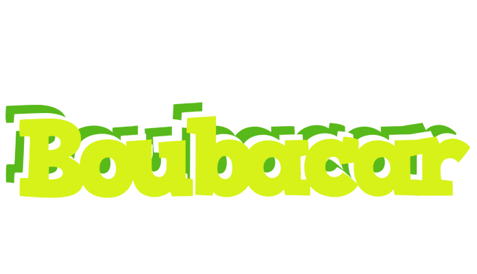 Boubacar citrus logo