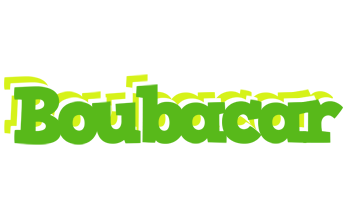 Boubacar picnic logo