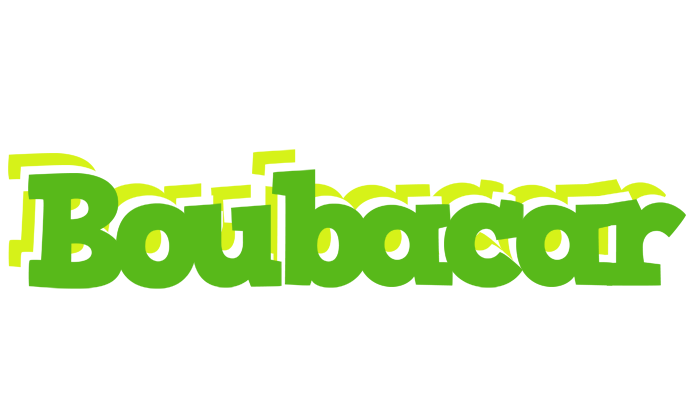 Boubacar picnic logo