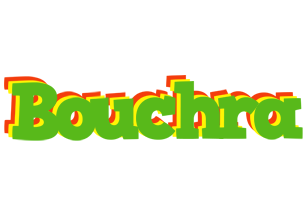 Bouchra crocodile logo