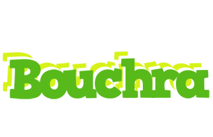 Bouchra picnic logo