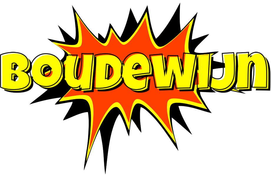 Boudewijn bazinga logo
