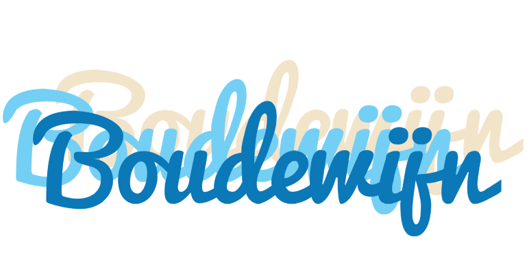 Boudewijn breeze logo