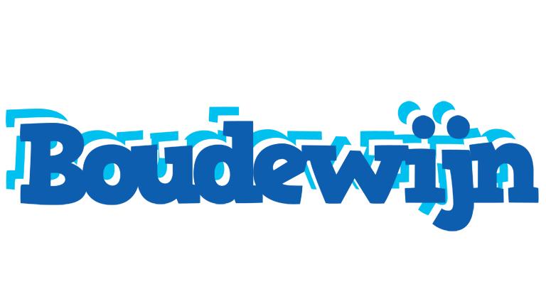 Boudewijn business logo