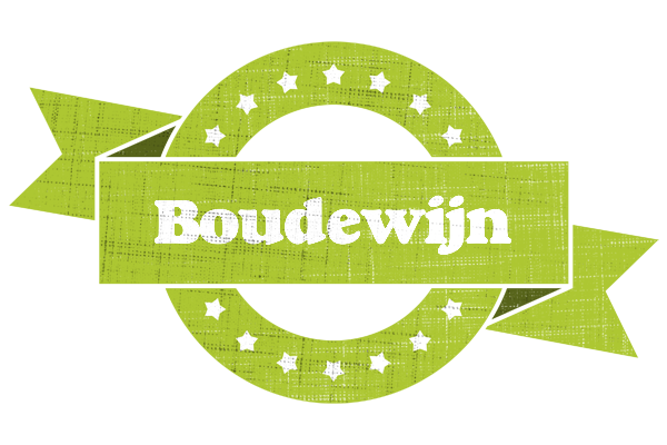 Boudewijn change logo
